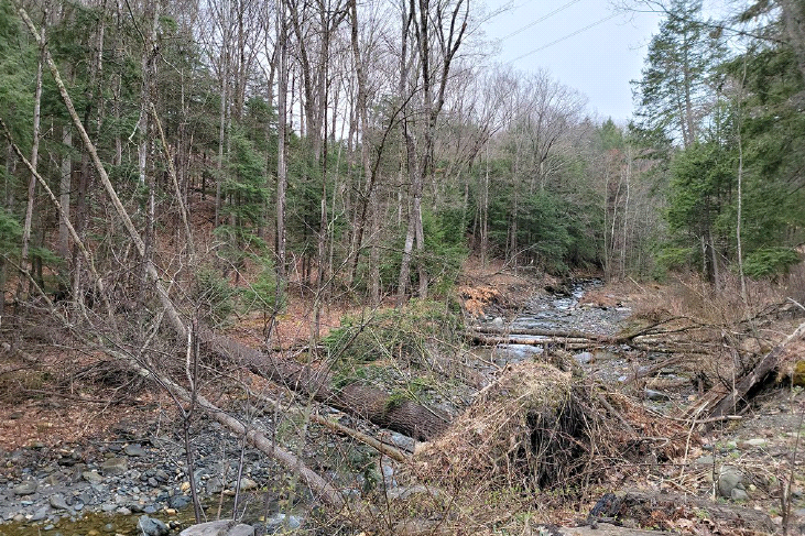 MARLBORO-BRATTLEBORO VT-9  photo